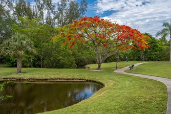 Goodlette Arms Lake - Photo Gallery 4
