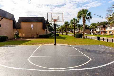 Basketball Court