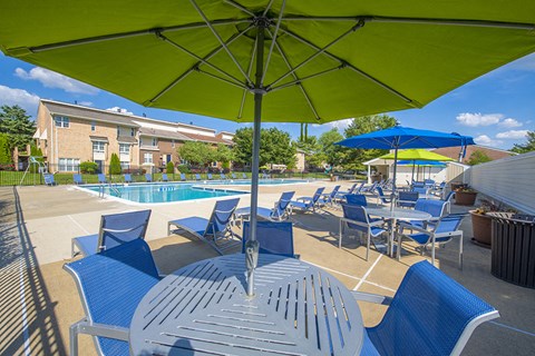 Sparkling Pool and Deck