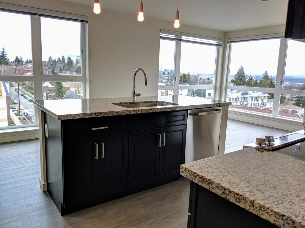 Outside view from kitchen at AJ, Washington