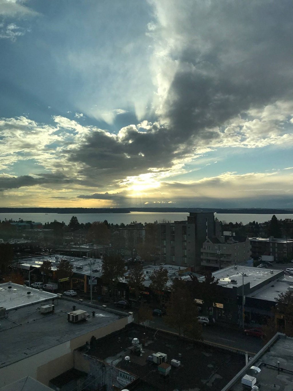 aerial view at AJ, Seattle, WA, 98116