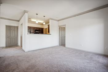 Spacious Living Area with Carpet