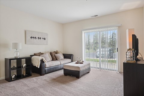 Living Room with Plush Carpeting