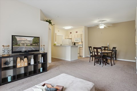 A living room with a television, a dining table and chairs, and a potted plant.