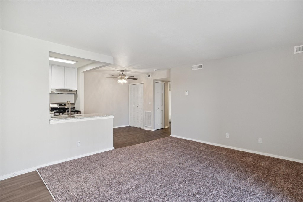Spacious Living Area with Carpet