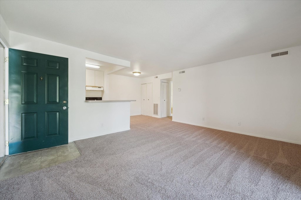 Living Area with Carpet