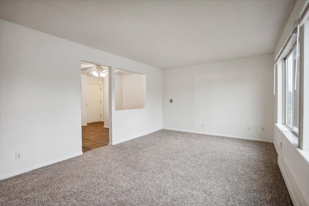 Living Room with Plush Carpeting
