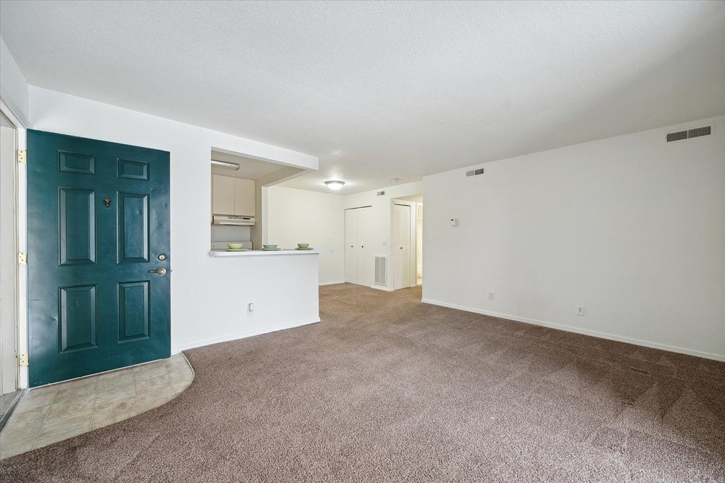 Spacious Living Area with Carpet
