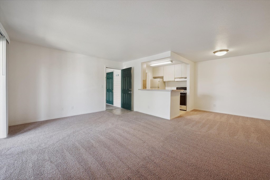 Spacious Living Area with Carpet