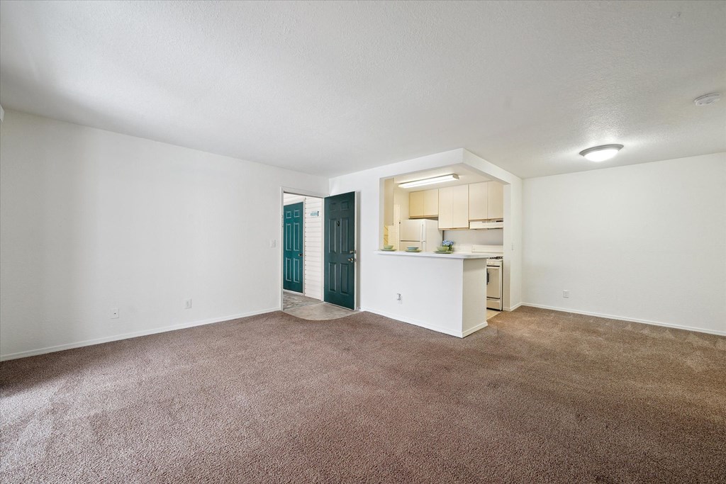 Living Room with Carpet
