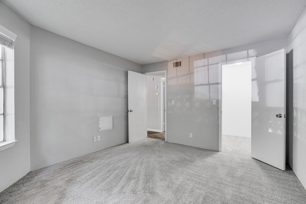 Carpeted Bedroom With Walk-In Closet
