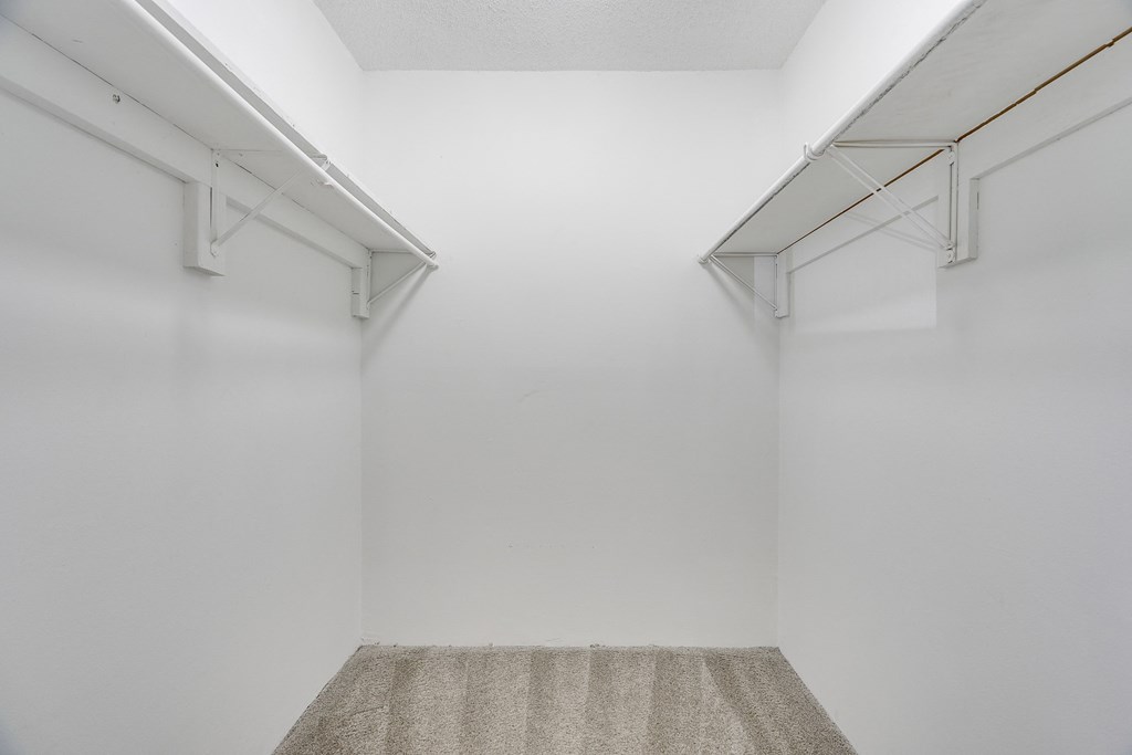 Carpeted Walk-In Closet