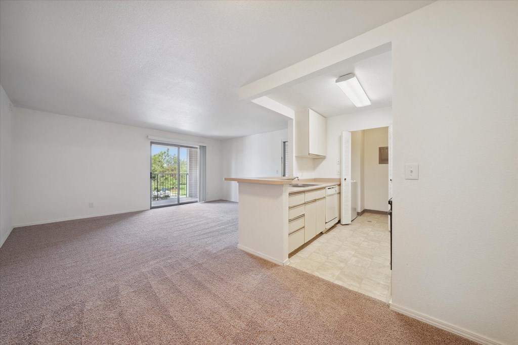 Spacious Living Area with Carpet