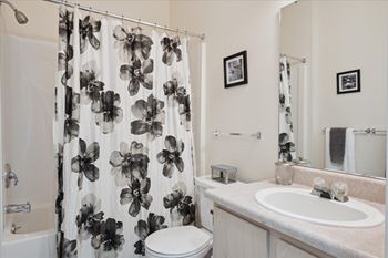 Bathroom with Modern Finishes