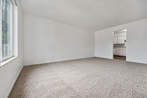 Spacious Room with Kitchen Access