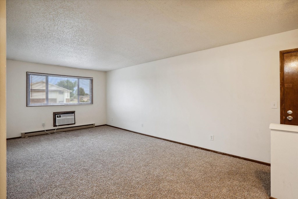 Living Room with Plush Carpeting