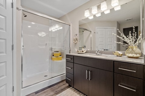 Bathroom with Modern Finishes