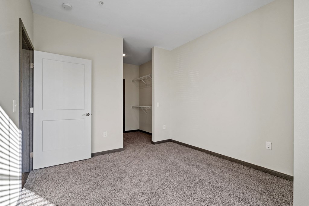 Bedroom With Walk-In Closet