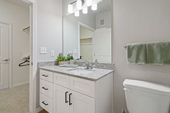 Bathroom with Modern Finishes