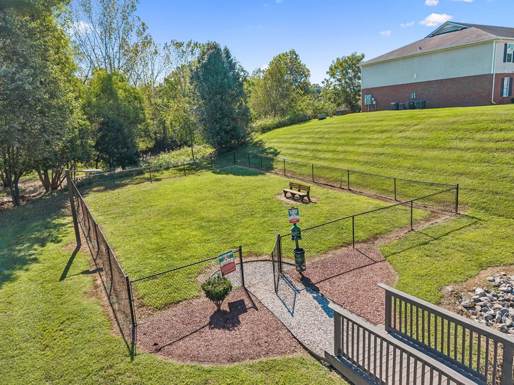 Aerial View of Dog Park