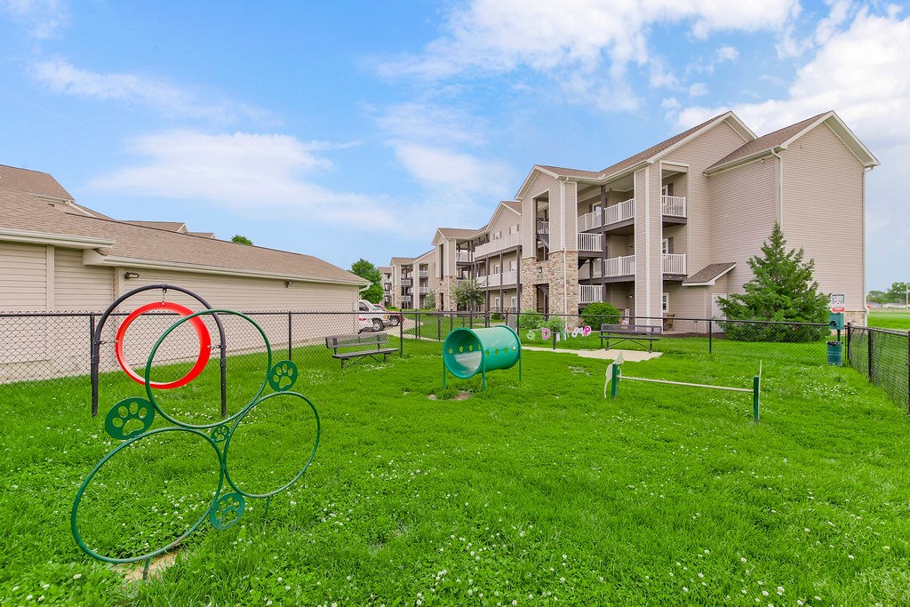 Dog Park with Equipment