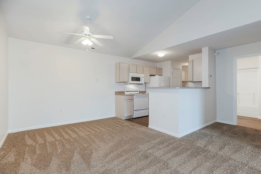 Spacious Living Area with Carpet
