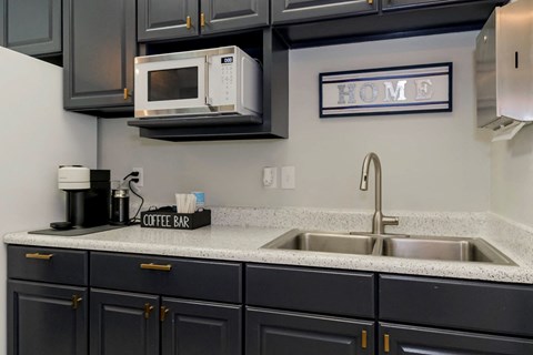 a kitchen with black cabinets and a sink and a microwave