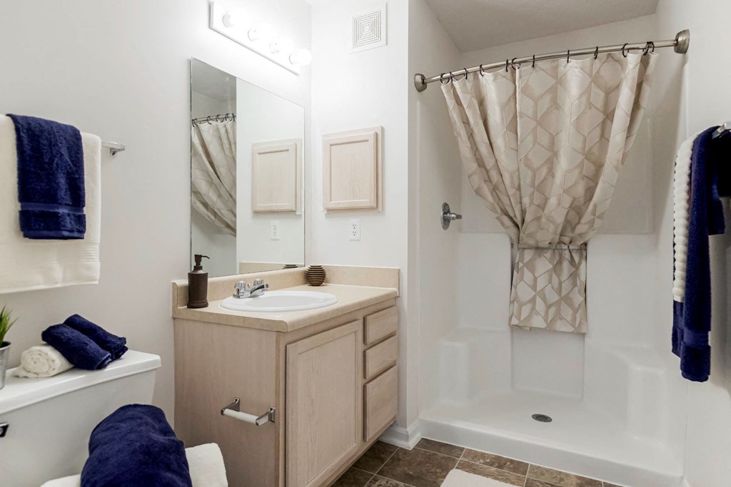 Bathroom with Modern Finishes