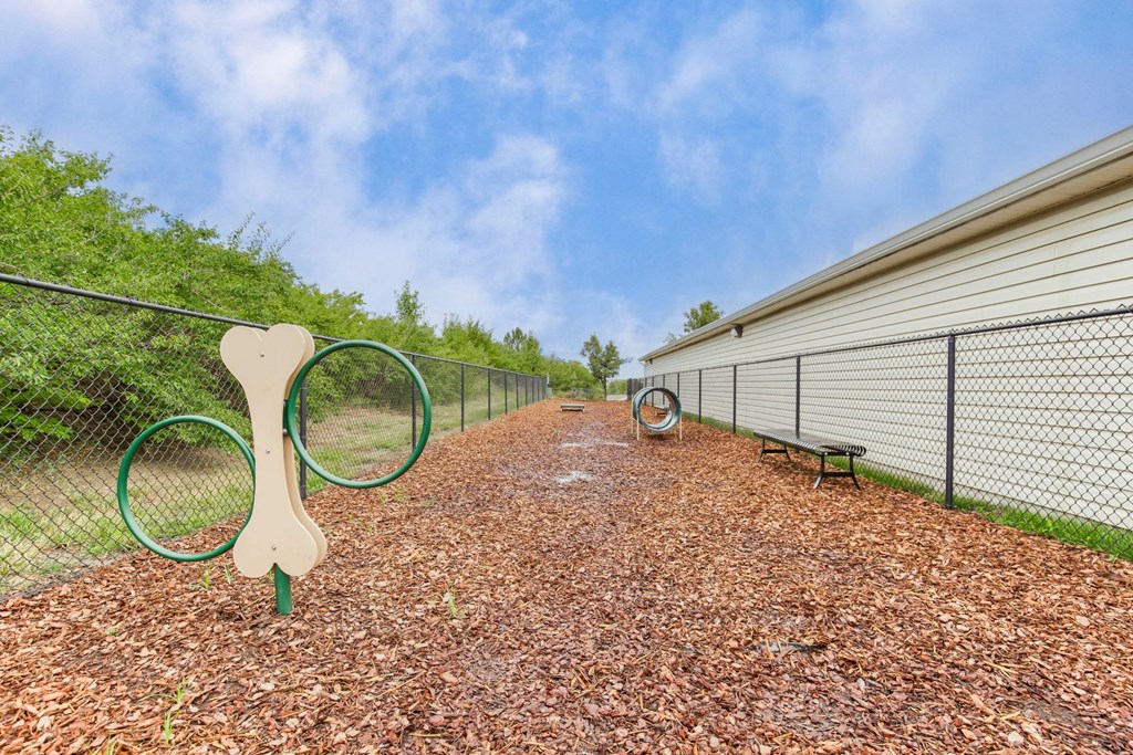 Dog Park with Equipment