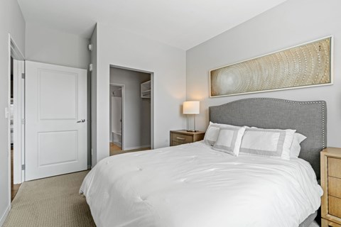 Bedroom with Large Closet