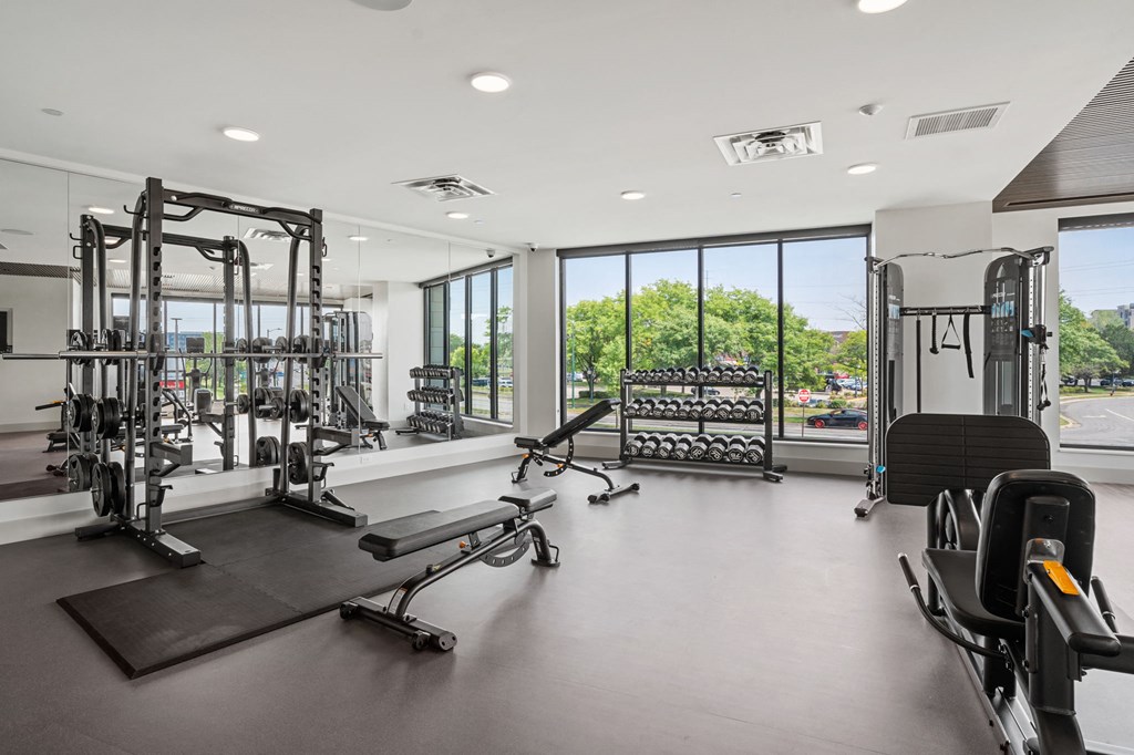 Fitness Center with Weights