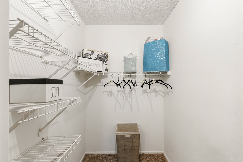 Spacious Walk-In Closet