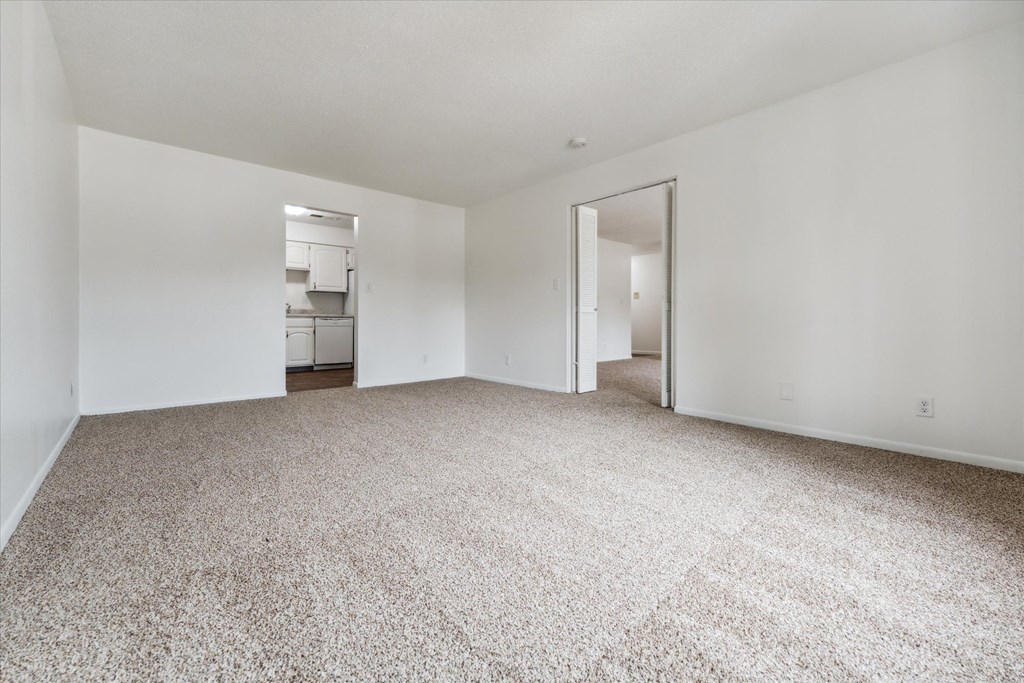 Large Room with Plush Carpeting