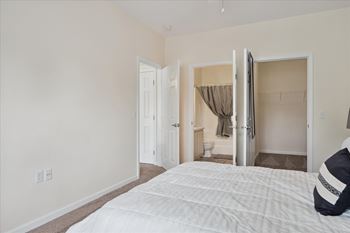 Bedroom with Large Closet