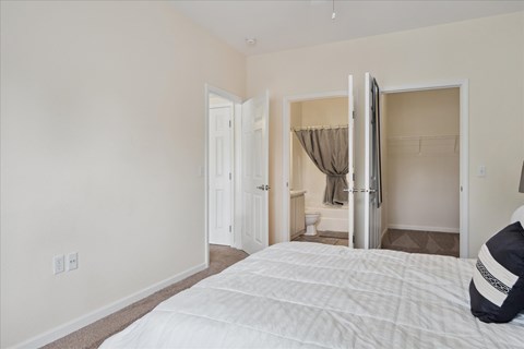 Bedroom with Large Closet