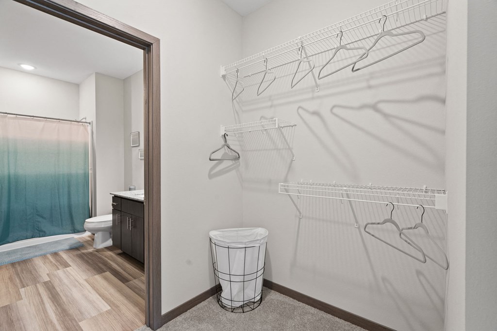 Walk-In Closet With Built-In Shelving