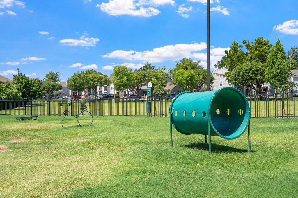 Dog Park with Equipment