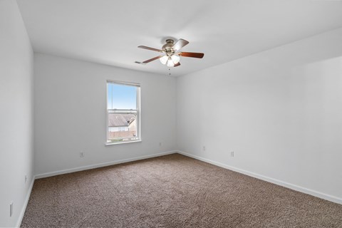Bedroom with Plush Carpeting