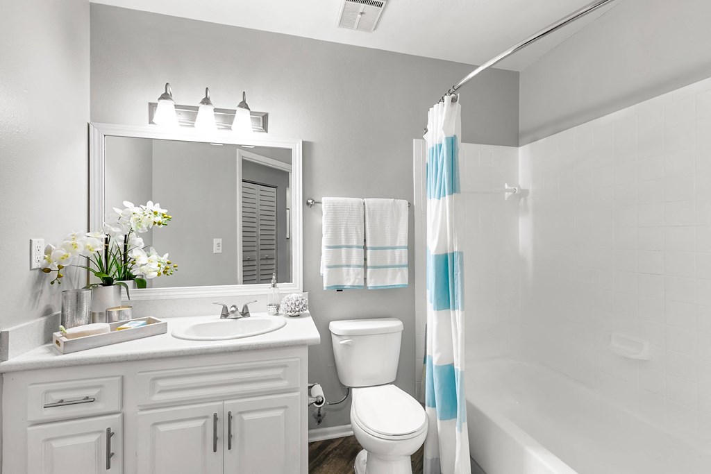 Bathroom Featuring White Vanity & Shower With Tub