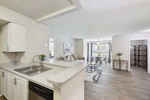 A kitchen with a sink and a dishwasher.