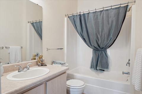 Bathroom with Modern Finishes