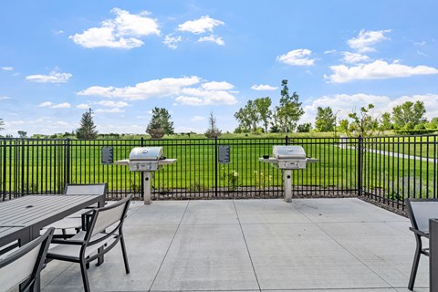 Grilling/Picnic Area