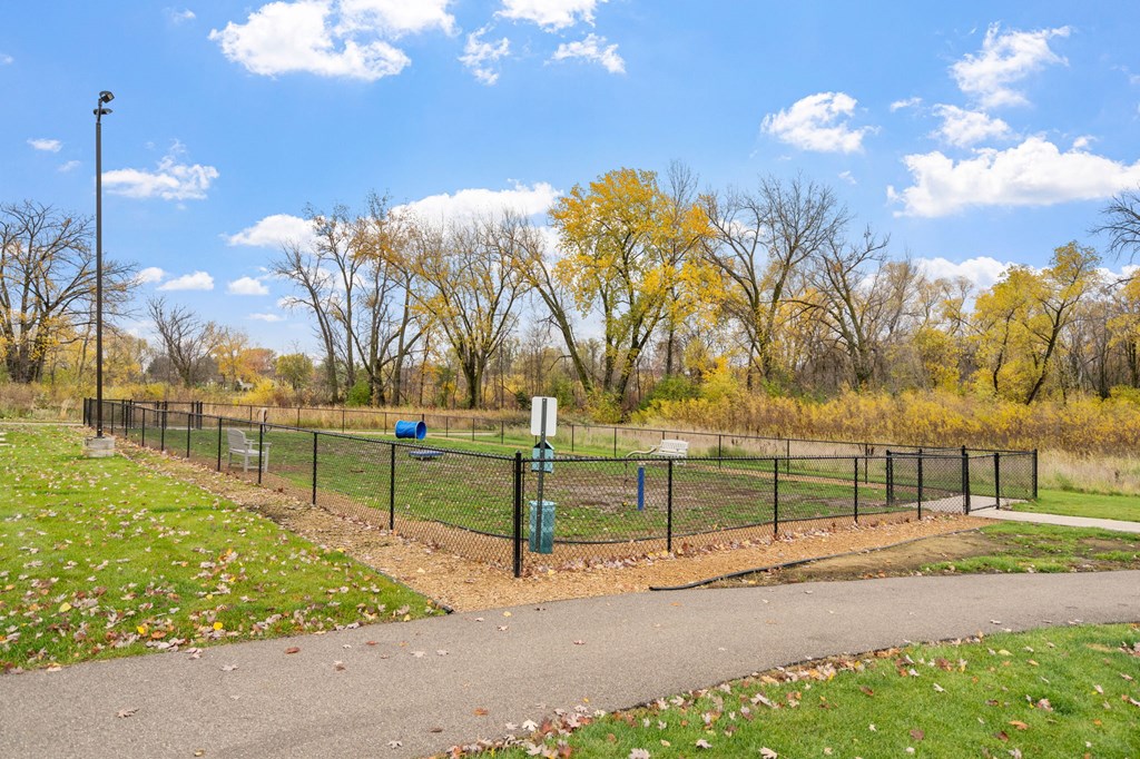 Dog Park with Equipment