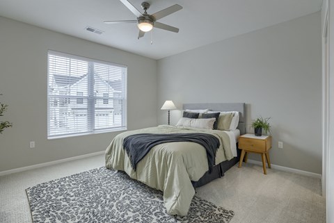 Bedroom with Plush Carpeting