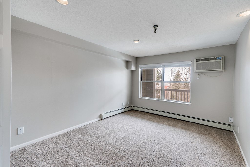 Large Bedroom Windows