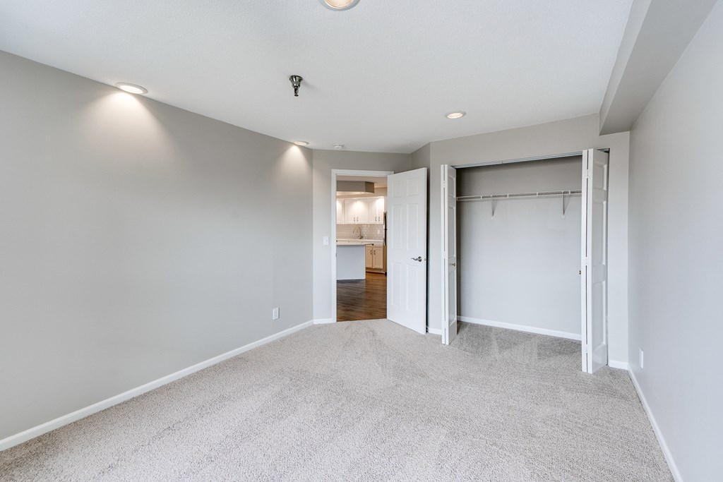 Large Bedroom with Closet and Plush Carpet