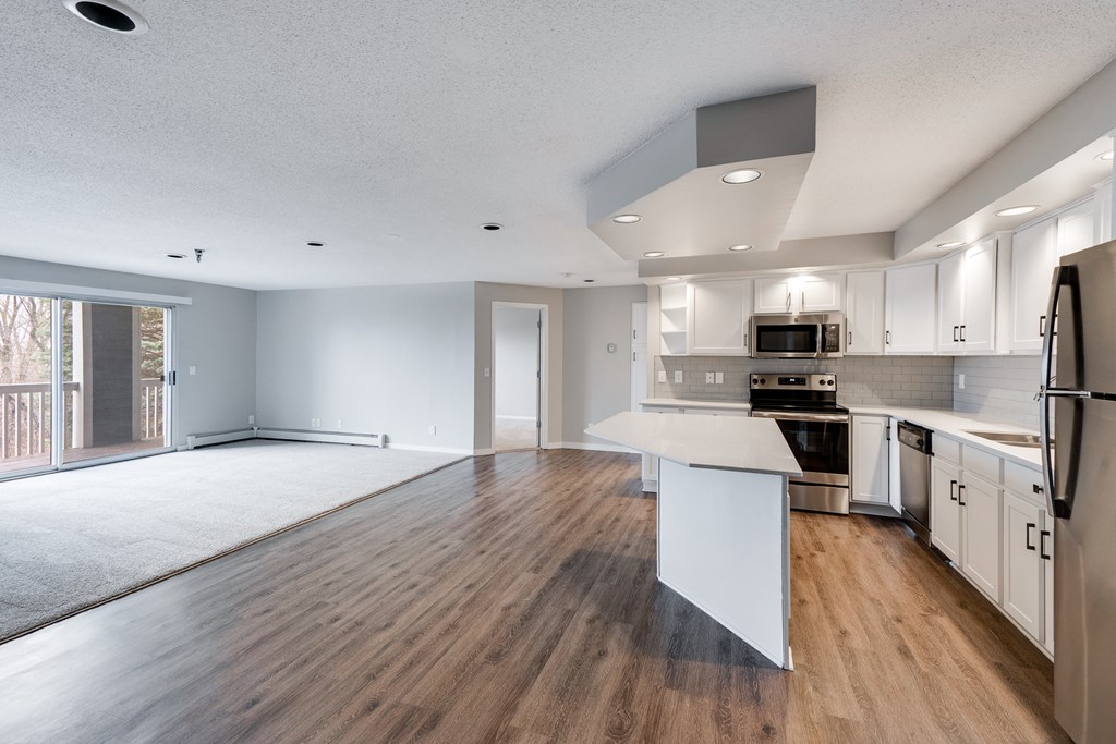 Open Concept Kitchen and Living Room