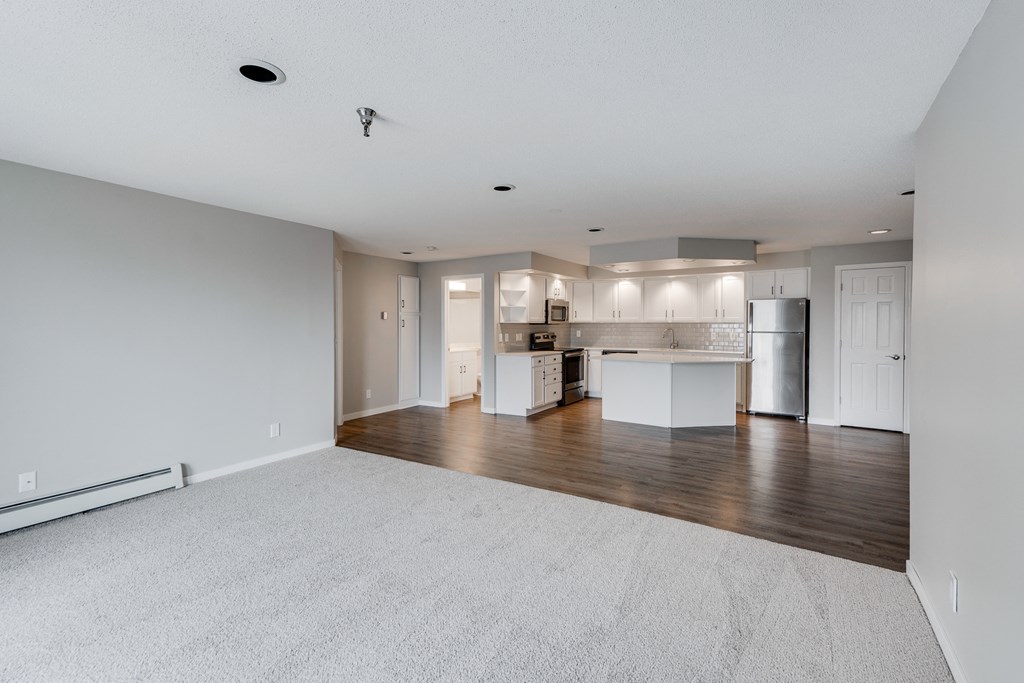 Plush New Carpeting in the Living Room