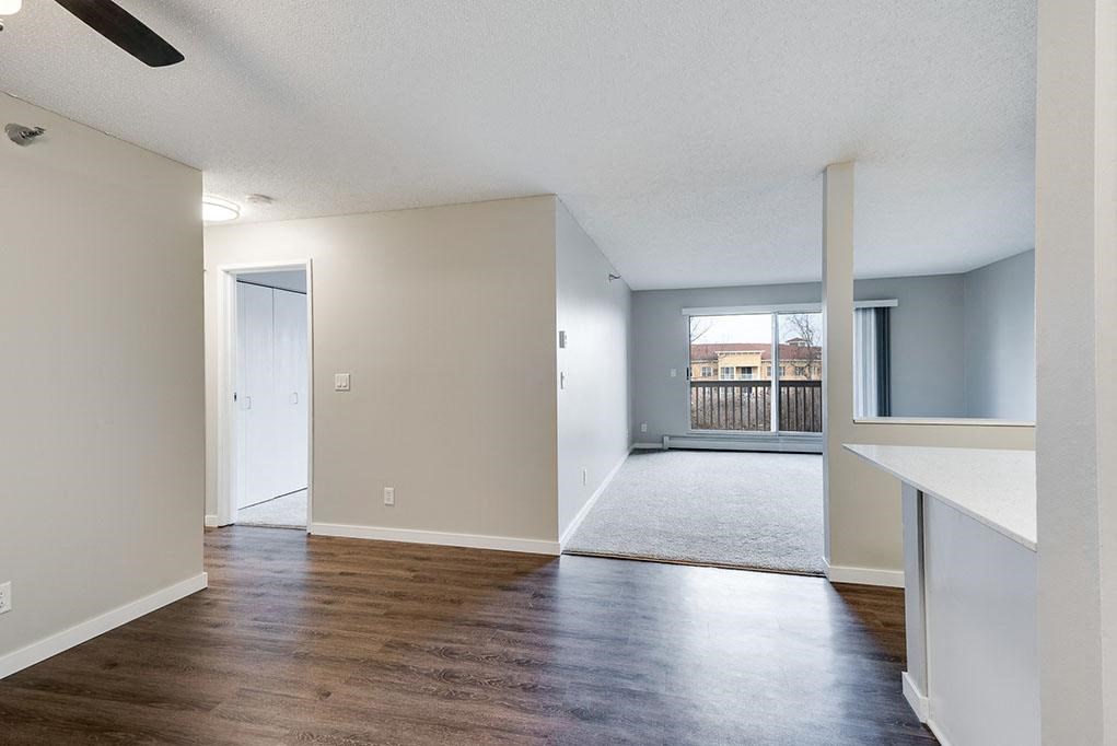 Grey Walls and Hardwood Style Flooring