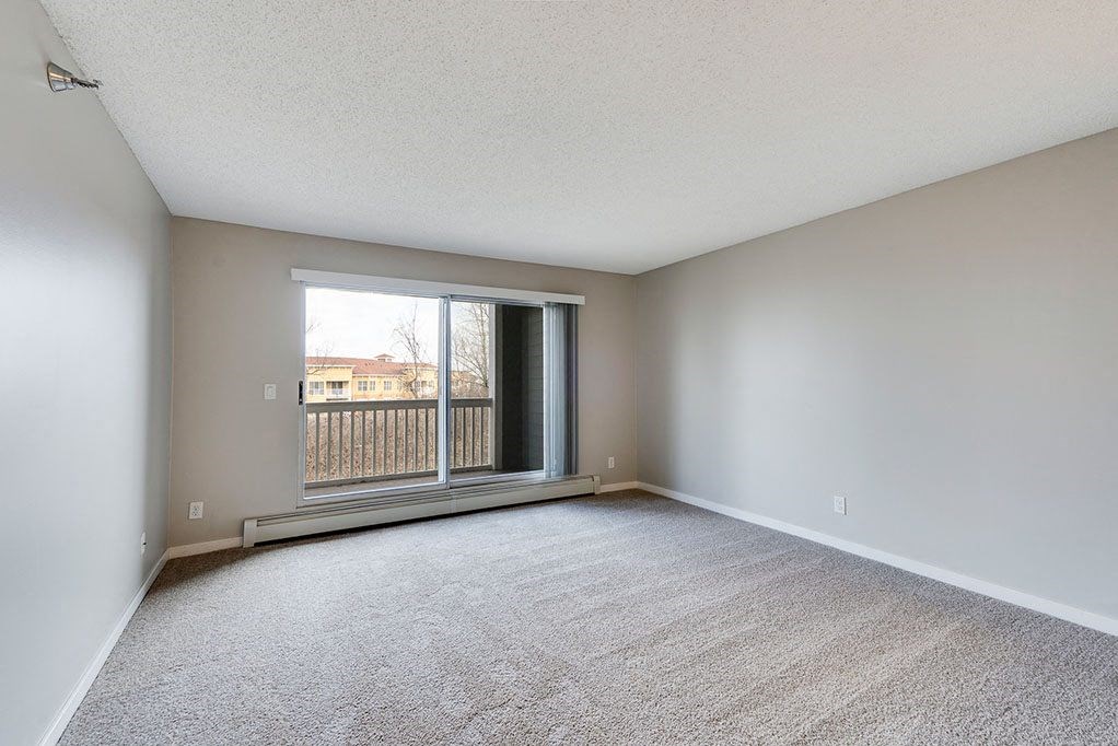 Plush Carpeting with Sliding Patio Door to Balcony